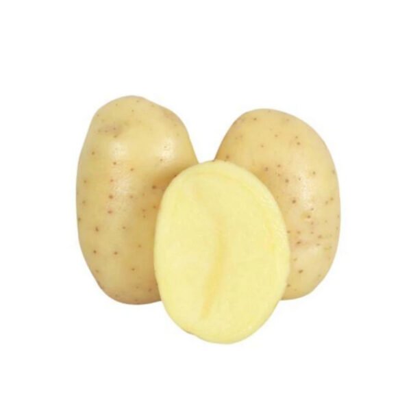 Papa blanca Kg