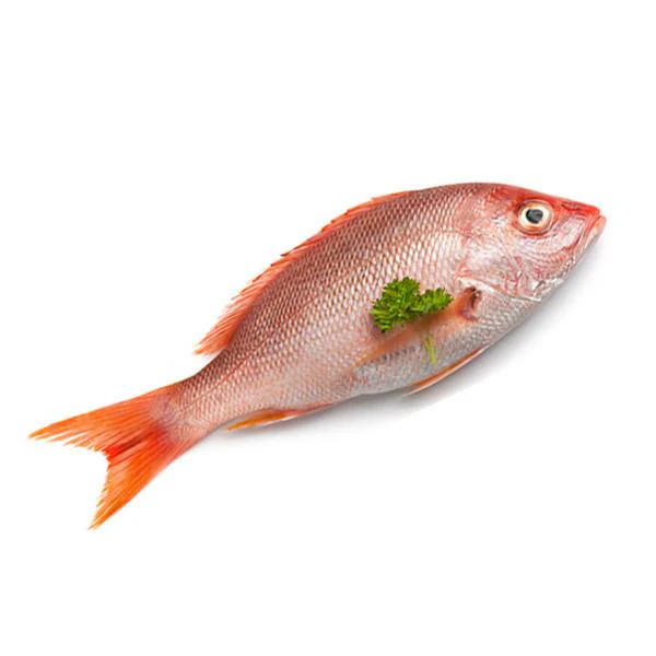 Pargo entero 0-1 kg