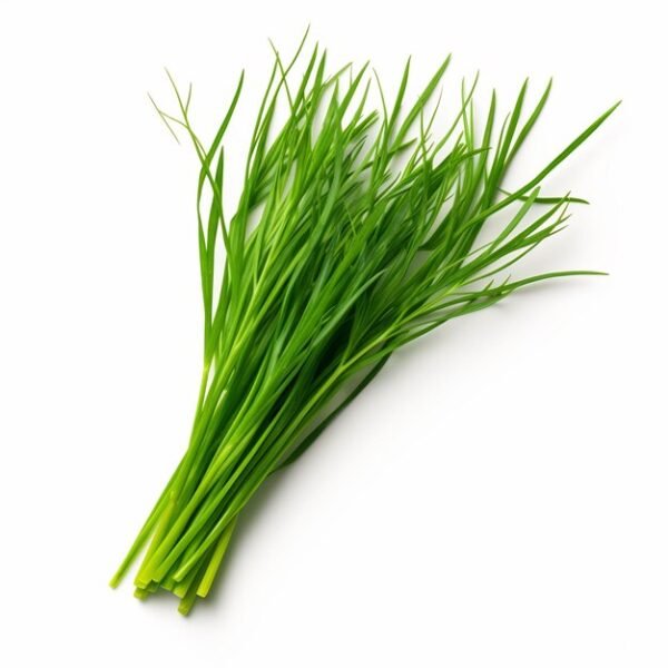 Cebollino