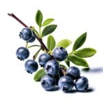 Arándanos 125g