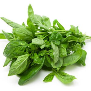 Albahaca