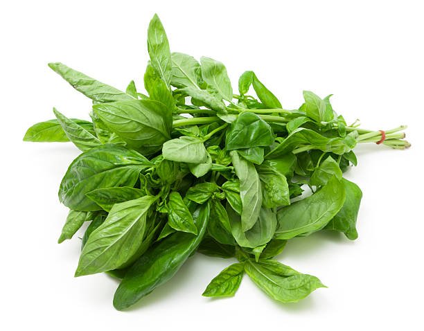 Albahaca