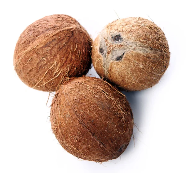 Pipa Pelada Und