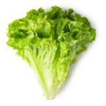 Lechuga Americana Und