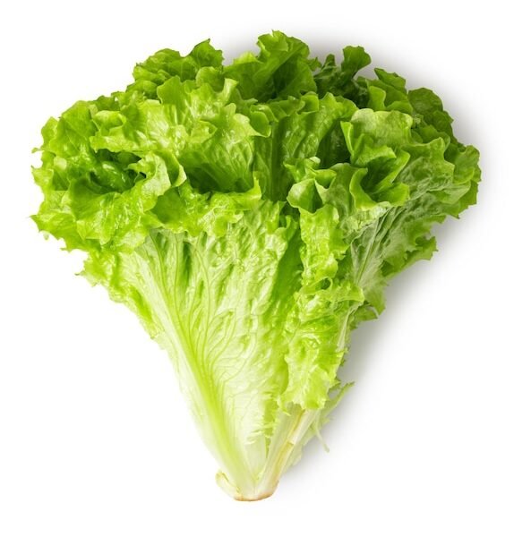Lechuga Americana Und