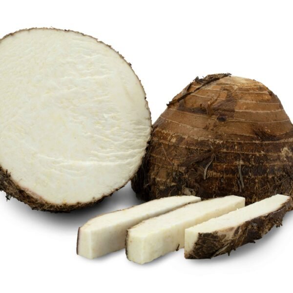 Malanga Kg