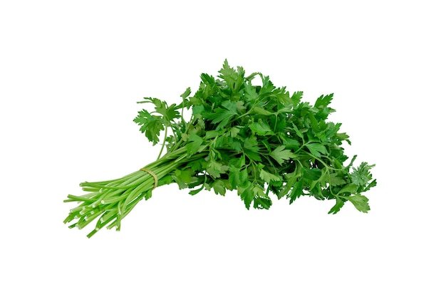 Perejil Rollo