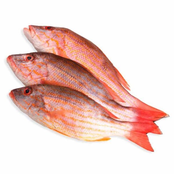 Pargo entero 1-2 kg